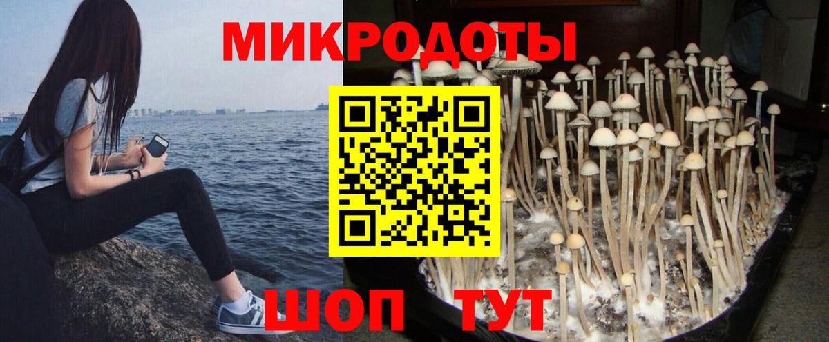 Псилоцибиновые грибы GOLDEN TEACHER  Вход с VPN  Каменка 